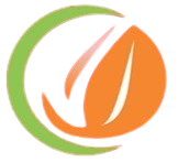 lightgoldenrodyellow-hedgehog-589707.hostingersite.com